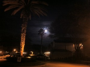 blue-moon-orlando-ambrogne-0831